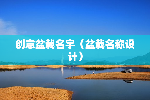 创意盆栽名字（盆栽名称设计）