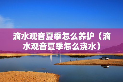 滴水观音夏季怎么养护（滴水观音夏季怎么浇水）