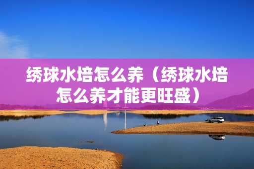 绣球水培怎么养（绣球水培怎么养才能更旺盛）