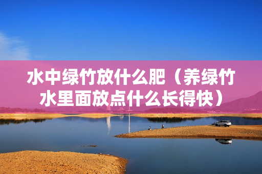 水中绿竹放什么肥（养绿竹水里面放点什么长得快）