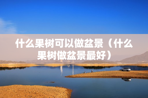 什么果树可以做盆景（什么果树做盆景最好）