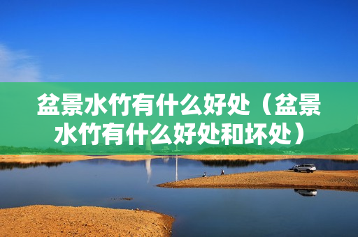 盆景水竹有什么好处（盆景水竹有什么好处和坏处）