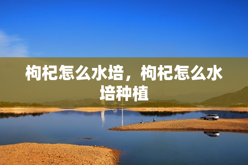 枸杞怎么水培，枸杞怎么水培种植