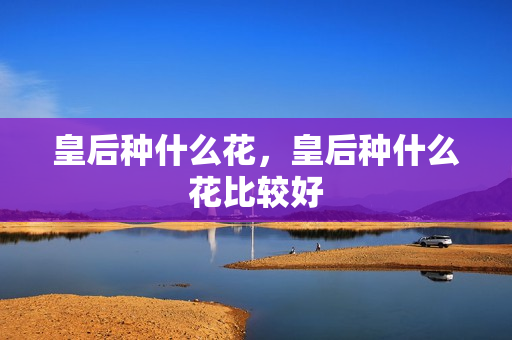 皇后种什么花，皇后种什么花比较好