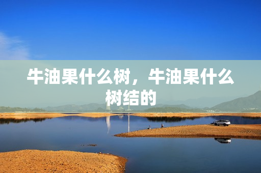 牛油果什么树，牛油果什么树结的