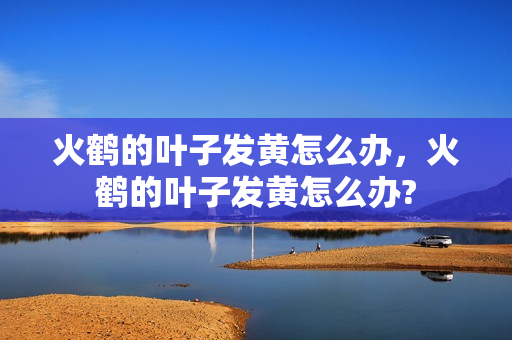 火鹤的叶子发黄怎么办，火鹤的叶子发黄怎么办?