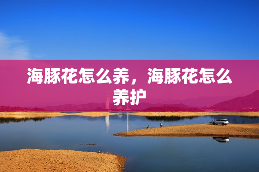 海豚花怎么养，海豚花怎么养护