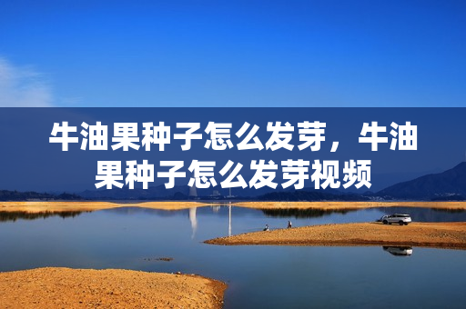 牛油果种子怎么发芽，牛油果种子怎么发芽视频