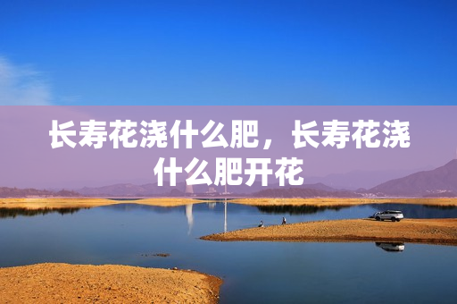 长寿花浇什么肥，长寿花浇什么肥开花