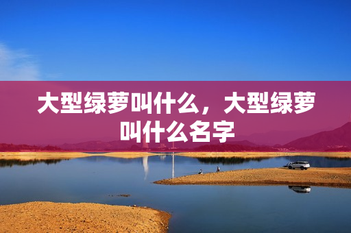 大型绿萝叫什么，大型绿萝叫什么名字