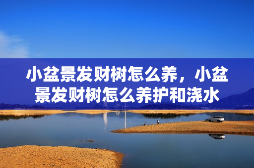 小盆景发财树怎么养，小盆景发财树怎么养护和浇水