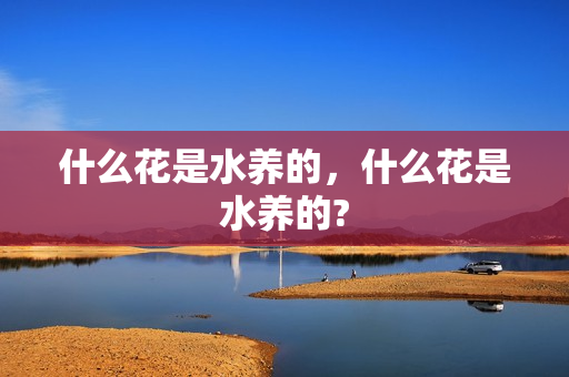 什么花是水养的，什么花是水养的?