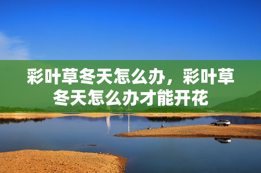 彩叶草冬天怎么办，彩叶草冬天怎么办才能开花