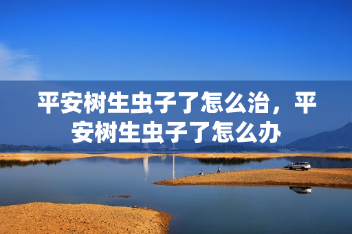 平安树生虫子了怎么治，平安树生虫子了怎么办