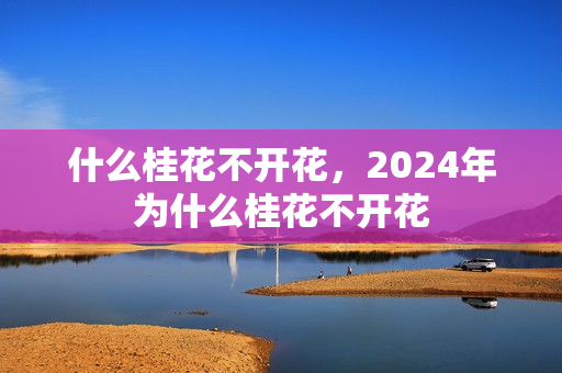 什么桂花不开花，2024年为什么桂花不开花