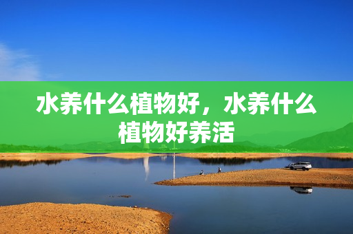 水养什么植物好，水养什么植物好养活