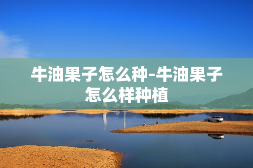 牛油果子怎么种-牛油果子怎么样种植