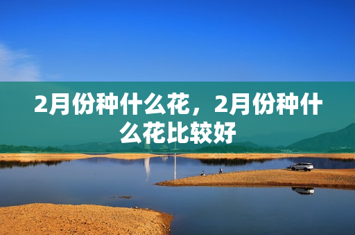 2月份种什么花，2月份种什么花比较好