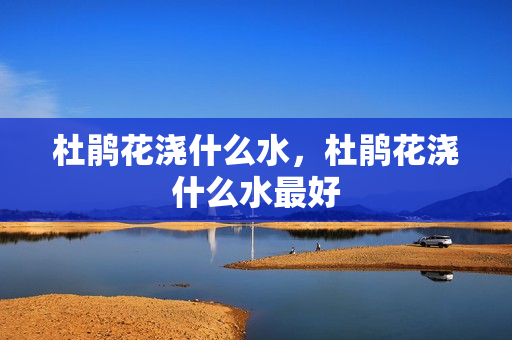 杜鹃花浇什么水，杜鹃花浇什么水最好