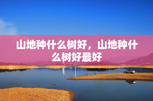 山地种什么树好，山地种什么树好最好