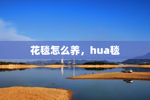 花毯怎么养，hua毯