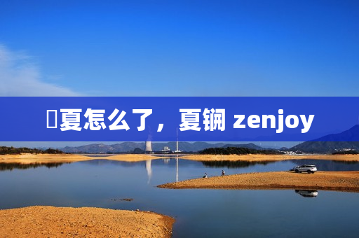 枙夏怎么了，夏锎 zenjoy