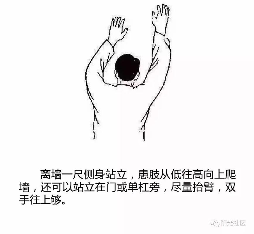 高手怎么爬墙（怎么爬墙教学）