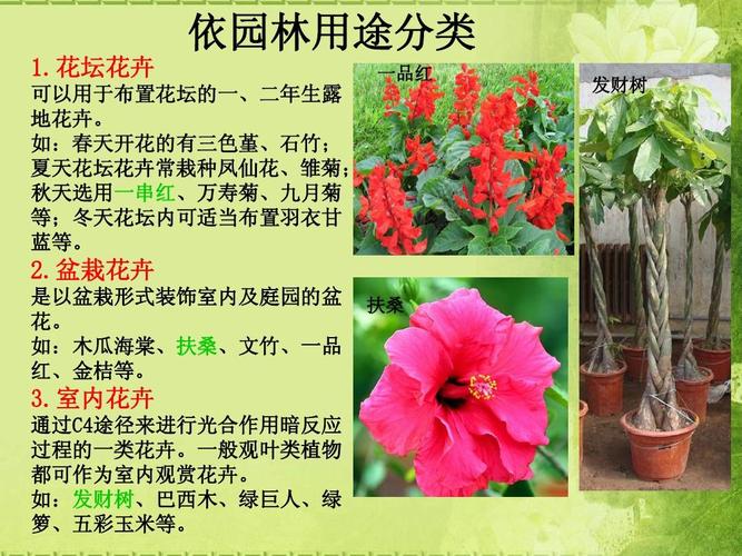 花卉产业的分类（花卉产业是什么）