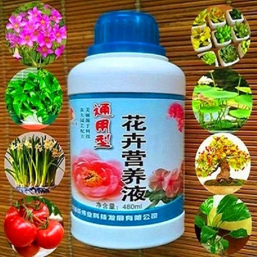 给花卉最好的肥料（给花卉施肥用什么肥料）