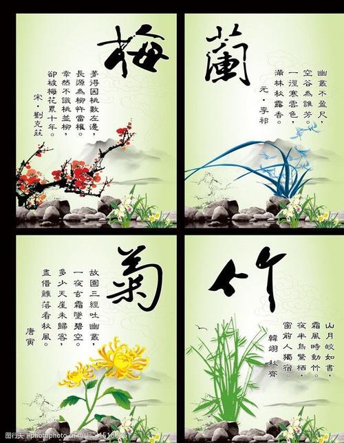 什么寓意是菊花兰花（兰花菊花成语）