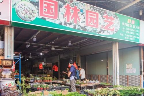 芳村南方花卉市场（芳村南方花卉市场营业时间）