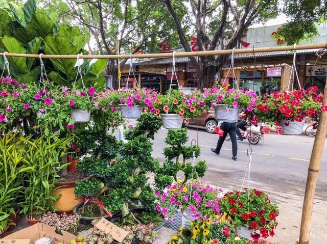 芳村南方花卉市场（芳村南方花卉市场营业时间）