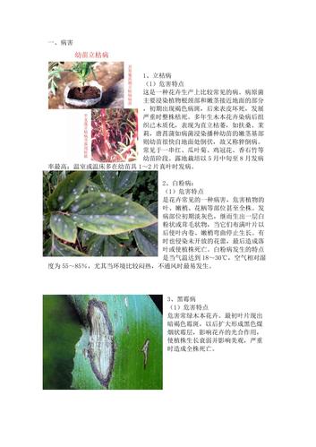 花卉害虫名称图片大全（花卉害虫有哪些）