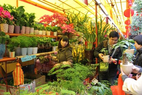 陕西花卉网（陕西花卉批发市场在哪里）