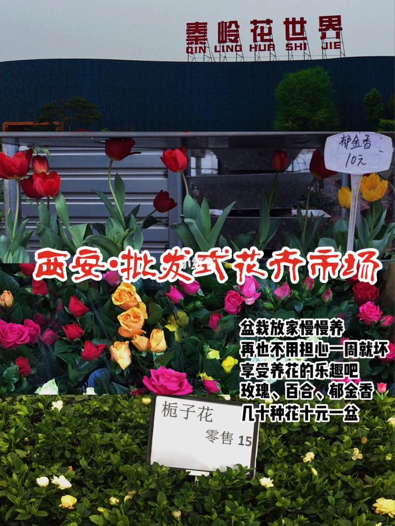 陕西花卉网（陕西花卉批发市场在哪里）