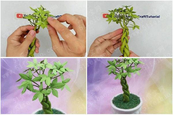 小植物怎么制做（植物diy制作方法）