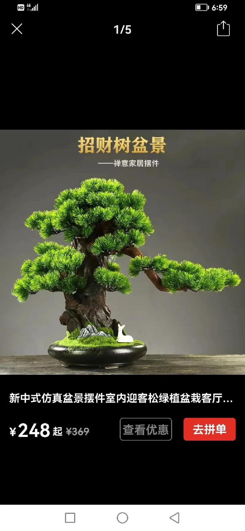 怎么种好盆栽植物，怎么种好盆栽植物呢