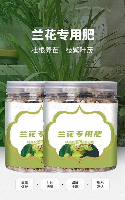 兰科用什么肥，兰科植物用什么肥好