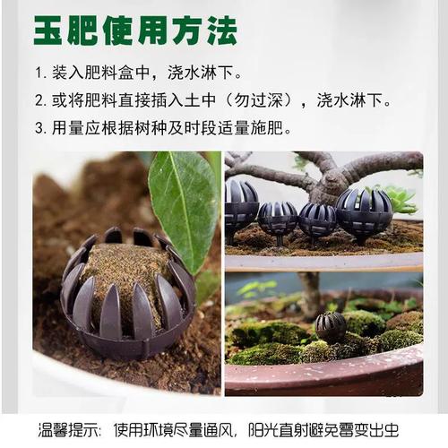 盆栽植物用肥，盆栽植物用肥量