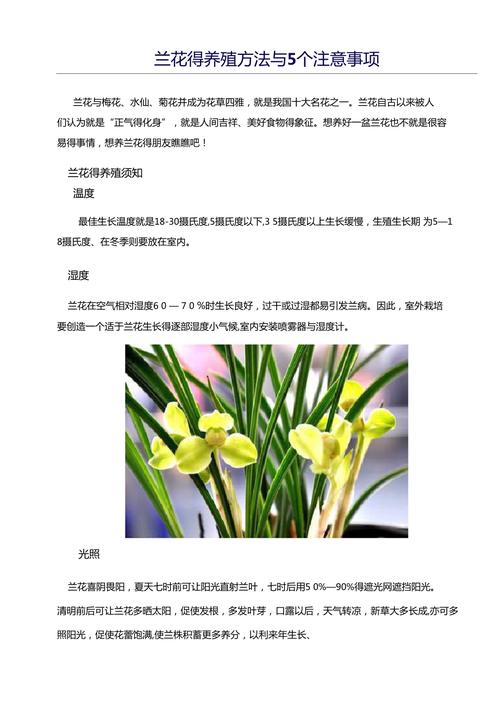 秋季兰花怎么养护，秋季兰花怎么养护管理