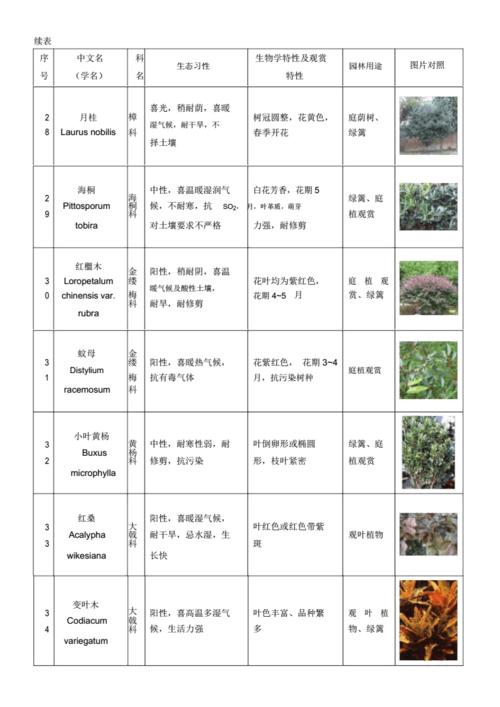 盆栽植物怎么查询品种，盆栽植物怎么查询品种数量