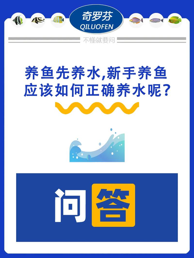 养水住意什么，养水是啥意思