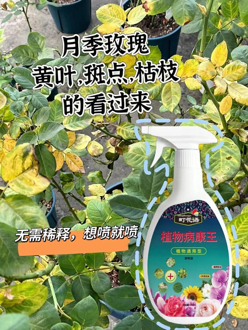 花叶枯萎怎么办，花叶枯萎怎么办小妙招