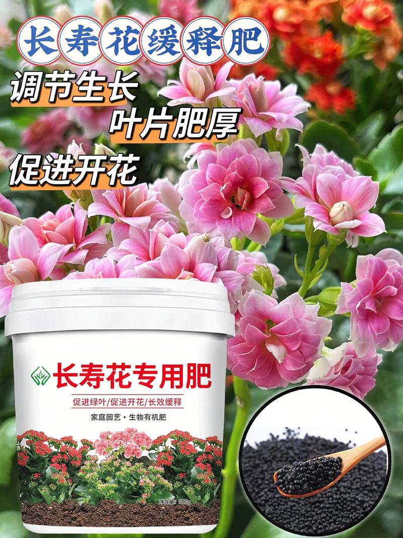 长寿花浇什么肥，长寿花浇什么肥开花