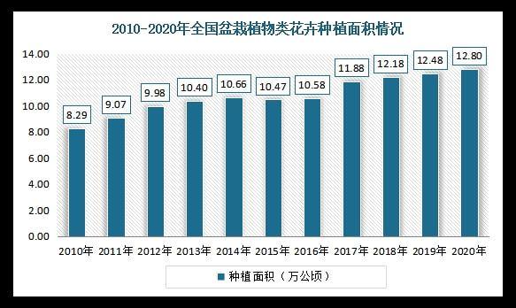 盆栽植物市场竞争策略，盆栽植物市场竞争策略研究