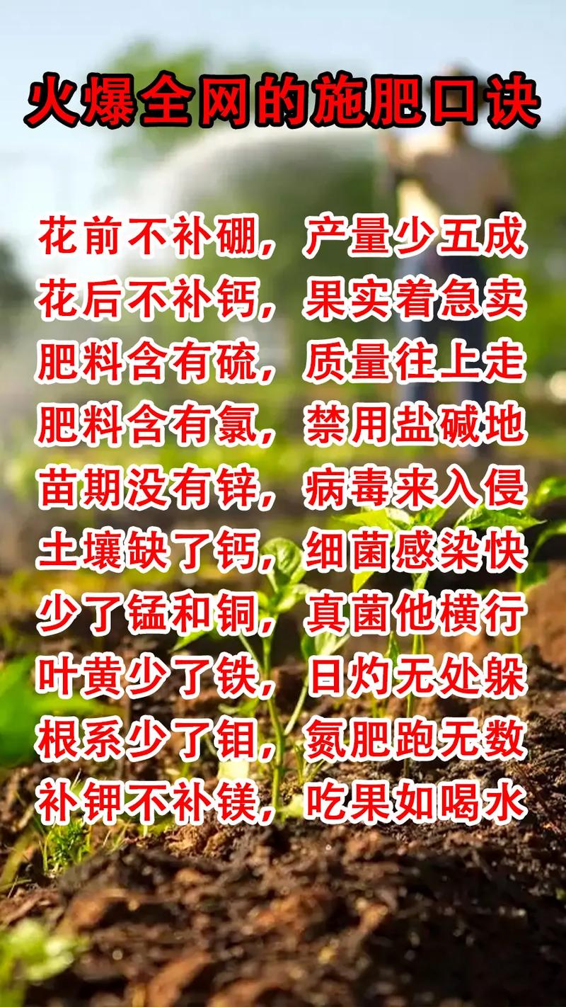 花什么时候施肥，花什么时候施肥最好