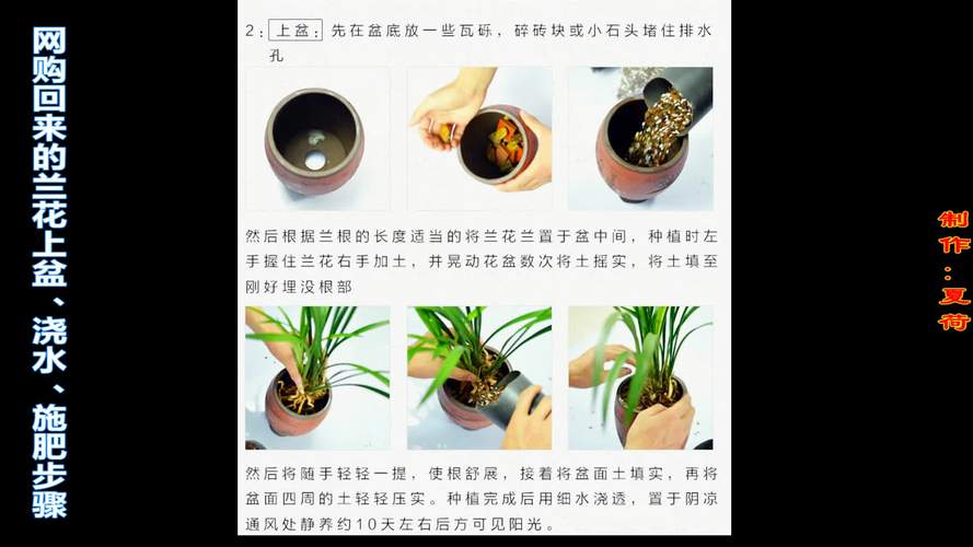 盆栽植物需要什么施肥，盆栽植物需要什么施肥方法