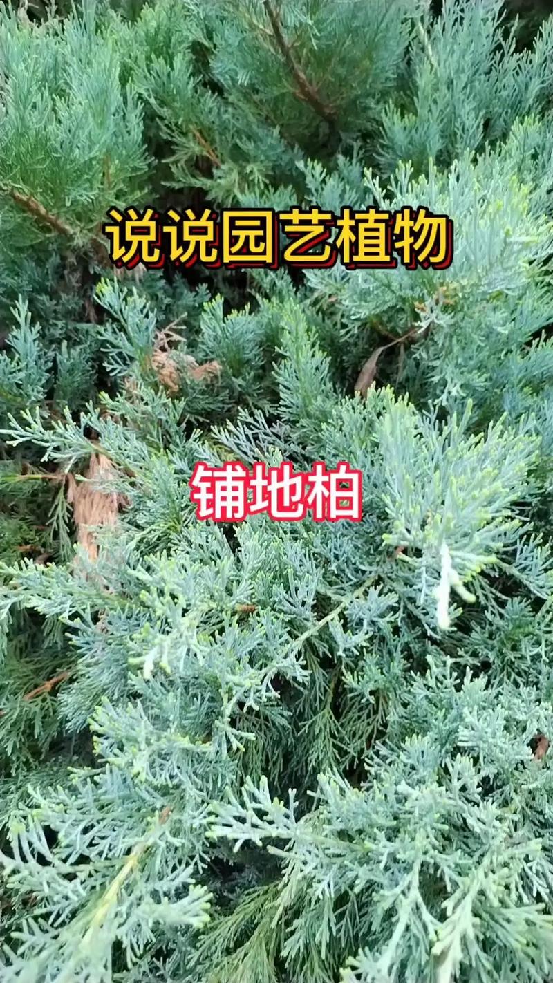 中国地质大学盆栽植物，中国地质大学土壤学