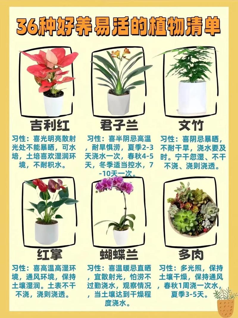 花都怎么种，花都怎么养