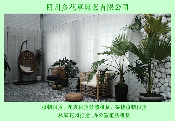 金牛区盆栽植物租赁，金牛区盆栽植物租赁公司